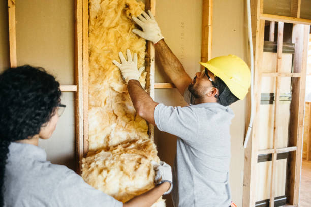 Best Commercial Insulation Services  in , VA